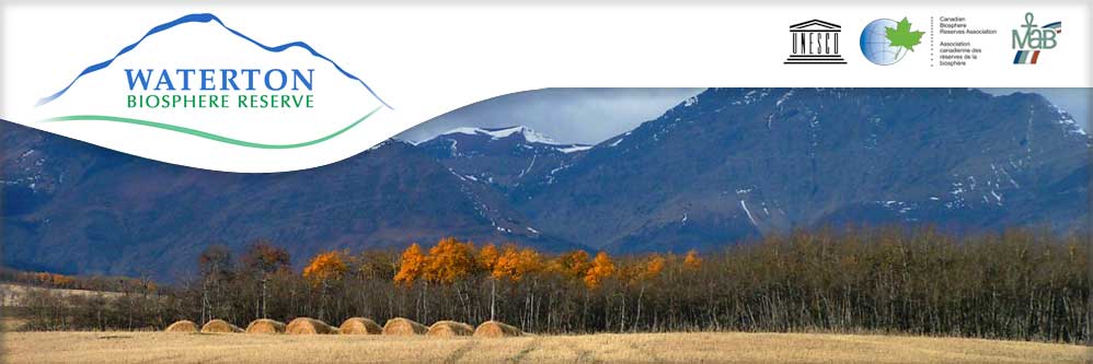 Waterton Biosphere Fall Scenic