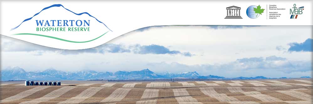 Waterton Farming Marlene Baier