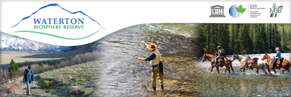 Waterton National Park Recreation Collage