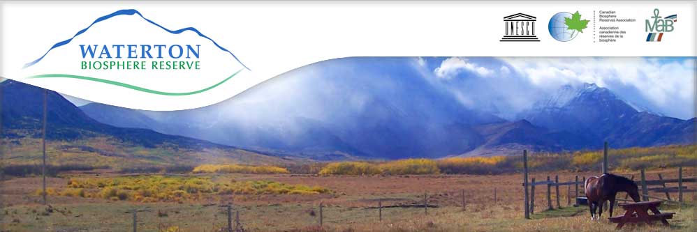 Waterton Storm Weather