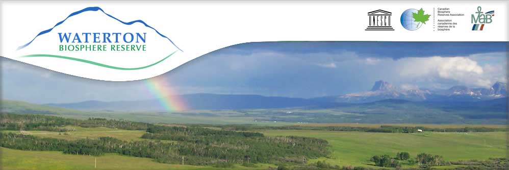 Rainbow over the Waterton Biosphere