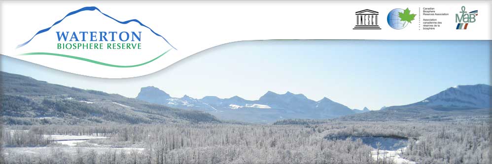 Waterton Biosphere Winter Scenic